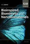 Bioinspired Biomimetic And Nanobiomaterials