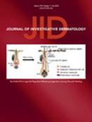 Journal Of Investigative Dermatology投稿