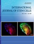 International Journal Of Stem Cells