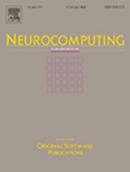 Neurocomputing