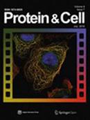 Protein & Cell