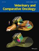 Veterinary And Comparative Oncology