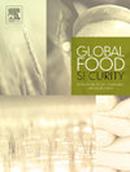 Global Food Security-agriculture Policy Economics And Environment