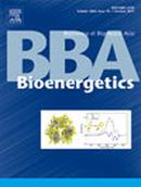 Biochimica Et Biophysica Acta-bioenergetics投稿